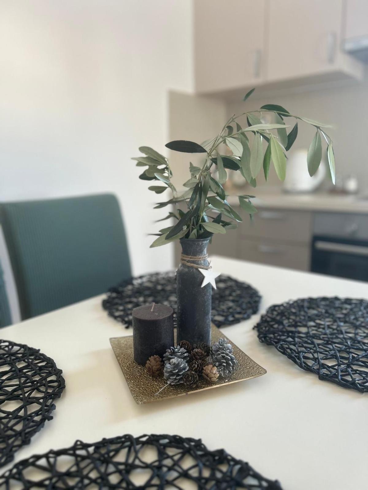 Lipa Apartman 扎达尔 外观 照片